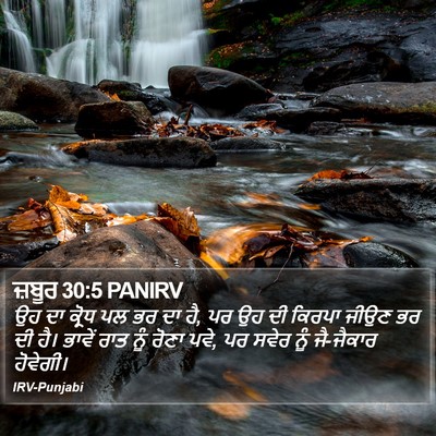 ਜ਼ਬੂਰ 30:5 PANIRV Bible Verse Image