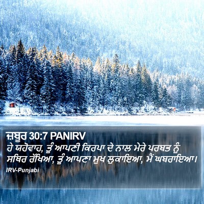 ਜ਼ਬੂਰ 30:7 PANIRV Bible Verse Image