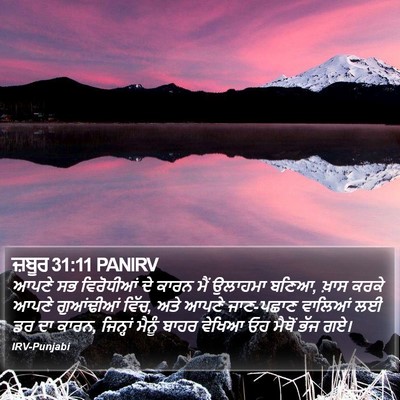 ਜ਼ਬੂਰ 31:11 PANIRV Bible Verse Image