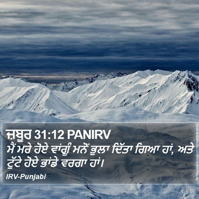 ਜ਼ਬੂਰ 31:12 PANIRV Bible Verse Image