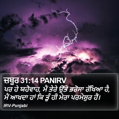 ਜ਼ਬੂਰ 31:14 PANIRV Bible Verse Image