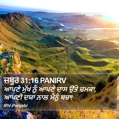 ਜ਼ਬੂਰ 31:16 PANIRV Bible Verse Image