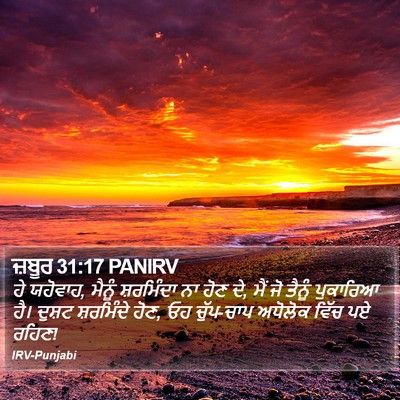 ਜ਼ਬੂਰ 31:17 PANIRV Bible Verse Image