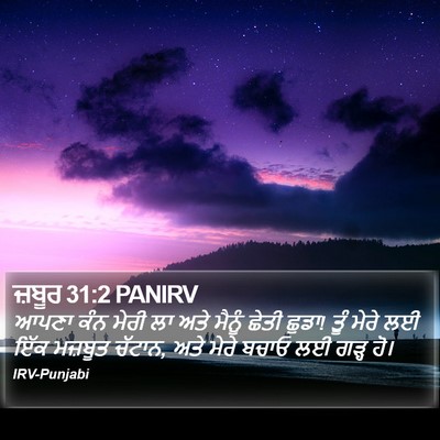 ਜ਼ਬੂਰ 31:2 PANIRV Bible Verse Image