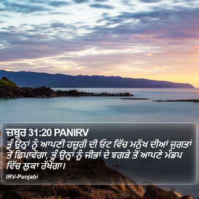 ਜ਼ਬੂਰ 31:20 PANIRV Bible Verse Image