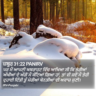 ਜ਼ਬੂਰ 31:22 PANIRV Bible Verse Image