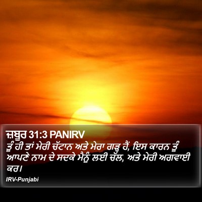 ਜ਼ਬੂਰ 31:3 PANIRV Bible Verse Image