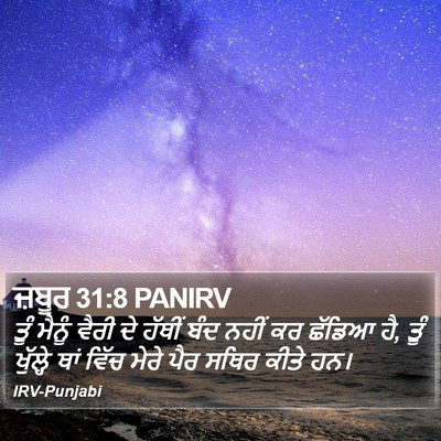ਜ਼ਬੂਰ 31:8 PANIRV Bible Verse Image