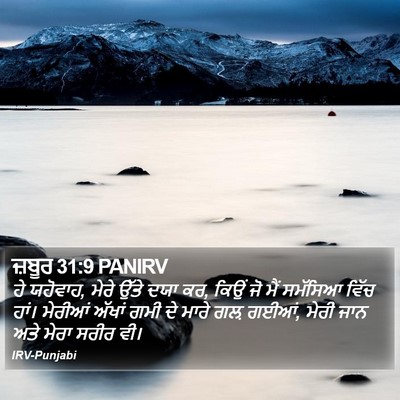 ਜ਼ਬੂਰ 31:9 PANIRV Bible Verse Image