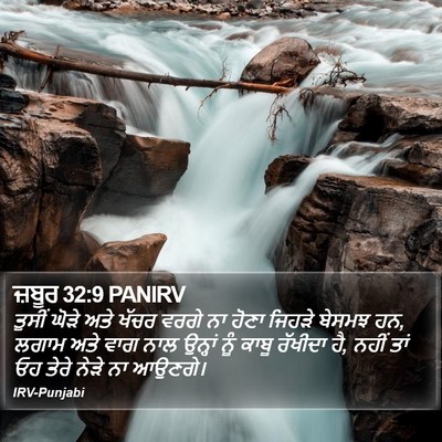 ਜ਼ਬੂਰ 32:9 PANIRV Bible Verse Image