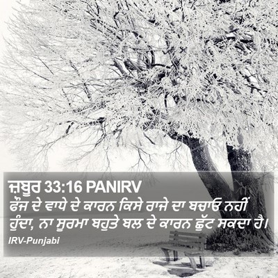 ਜ਼ਬੂਰ 33:16 PANIRV Bible Verse Image