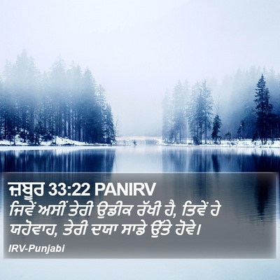 ਜ਼ਬੂਰ 33:22 PANIRV Bible Verse Image