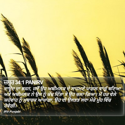 ਜ਼ਬੂਰ 34:1 PANIRV Bible Verse Image
