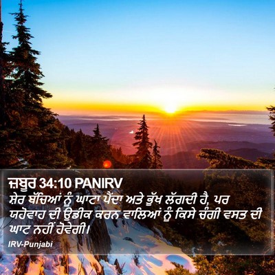 ਜ਼ਬੂਰ 34:10 PANIRV Bible Verse Image
