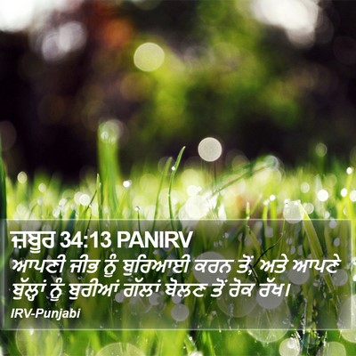 ਜ਼ਬੂਰ 34:13 PANIRV Bible Verse Image