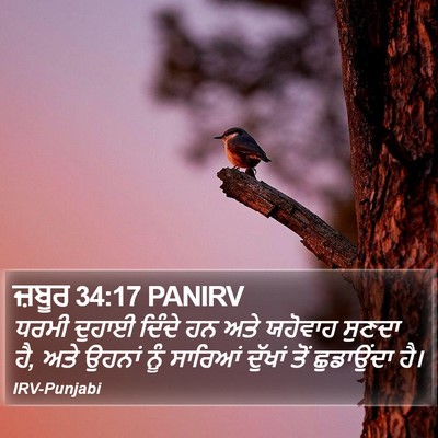ਜ਼ਬੂਰ 34:17 PANIRV Bible Verse Image
