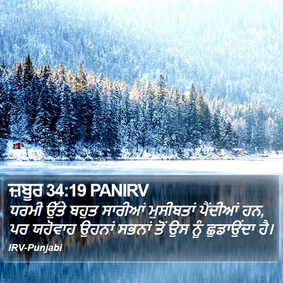 ਜ਼ਬੂਰ 34:19 PANIRV Bible Verse Image
