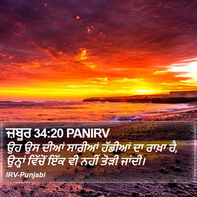ਜ਼ਬੂਰ 34:20 PANIRV Bible Verse Image