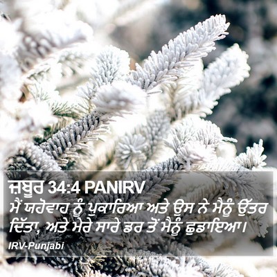 ਜ਼ਬੂਰ 34:4 PANIRV Bible Verse Image