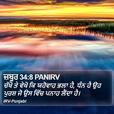 ਜ਼ਬੂਰ 34:8 PANIRV Bible Verse Image