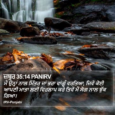 ਜ਼ਬੂਰ 35:14 PANIRV Bible Verse Image