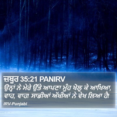 ਜ਼ਬੂਰ 35:21 PANIRV Bible Verse Image