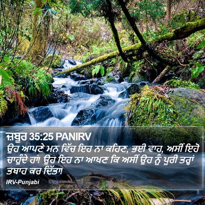 ਜ਼ਬੂਰ 35:25 PANIRV Bible Verse Image