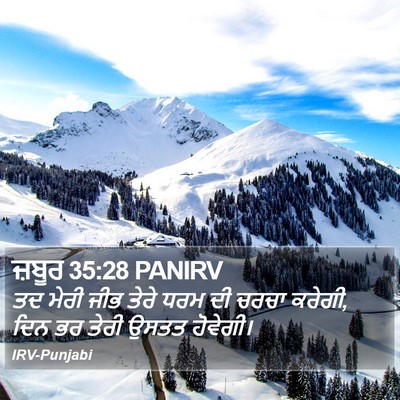 ਜ਼ਬੂਰ 35:28 PANIRV Bible Verse Image