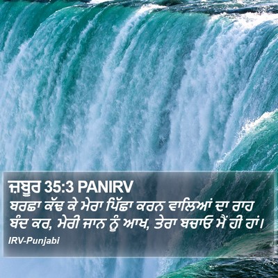 ਜ਼ਬੂਰ 35:3 PANIRV Bible Verse Image