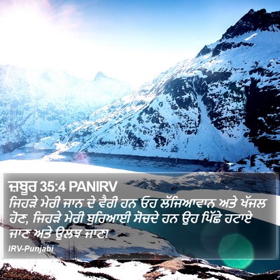 ਜ਼ਬੂਰ 35:4 PANIRV Bible Verse Image