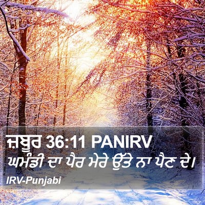 ਜ਼ਬੂਰ 36:11 PANIRV Bible Verse Image