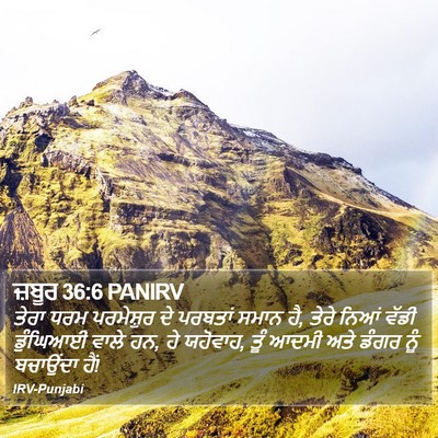 ਜ਼ਬੂਰ 36:6 PANIRV Bible Verse Image