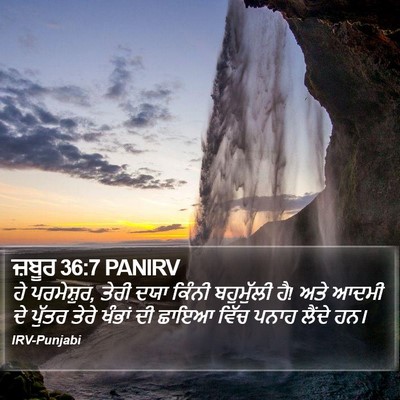 ਜ਼ਬੂਰ 36:7 PANIRV Bible Verse Image