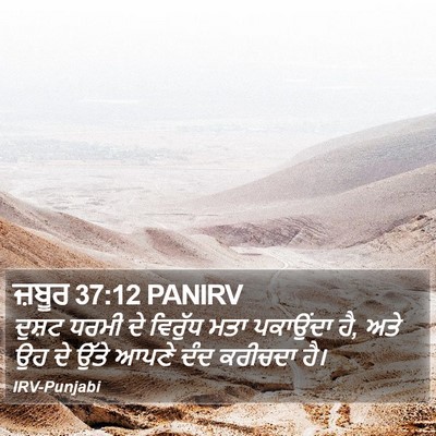 ਜ਼ਬੂਰ 37:12 PANIRV Bible Verse Image