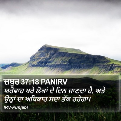 ਜ਼ਬੂਰ 37:18 PANIRV Bible Verse Image