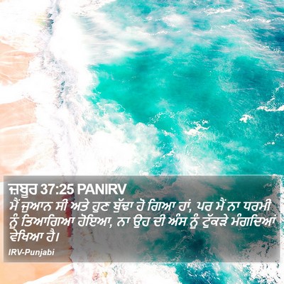 ਜ਼ਬੂਰ 37:25 PANIRV Bible Verse Image
