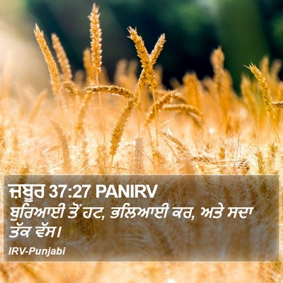 ਜ਼ਬੂਰ 37:27 PANIRV Bible Verse Image