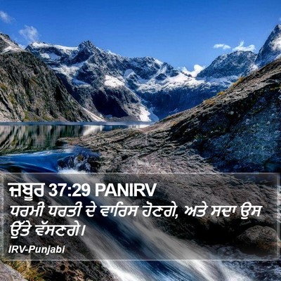 ਜ਼ਬੂਰ 37:29 PANIRV Bible Verse Image