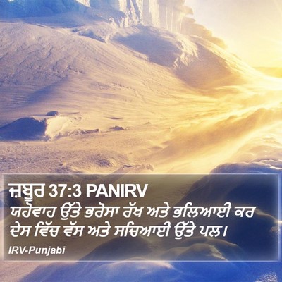 ਜ਼ਬੂਰ 37:3 PANIRV Bible Verse Image