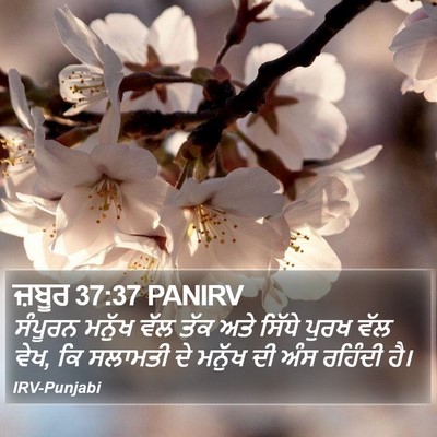 ਜ਼ਬੂਰ 37:37 PANIRV Bible Verse Image