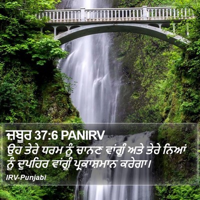 ਜ਼ਬੂਰ 37:6 PANIRV Bible Verse Image