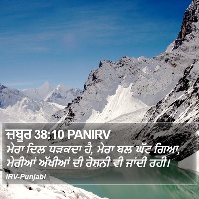 ਜ਼ਬੂਰ 38:10 PANIRV Bible Verse Image