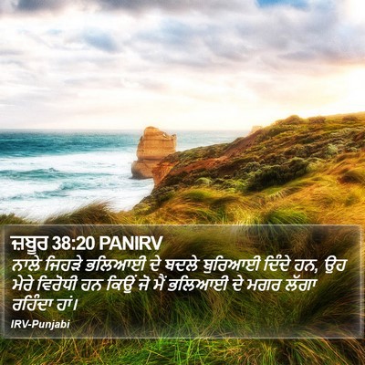 ਜ਼ਬੂਰ 38:20 PANIRV Bible Verse Image