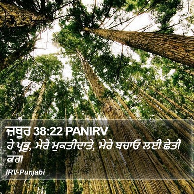 ਜ਼ਬੂਰ 38:22 PANIRV Bible Verse Image