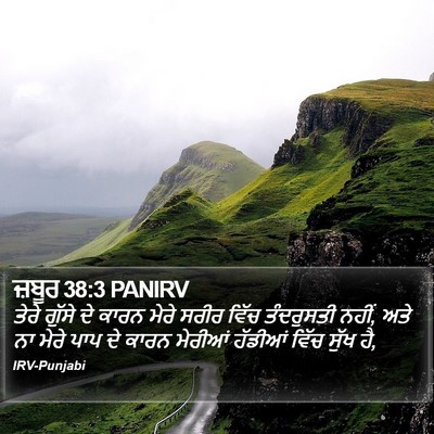 ਜ਼ਬੂਰ 38:3 PANIRV Bible Verse Image