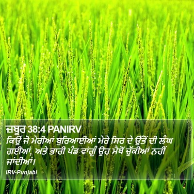 ਜ਼ਬੂਰ 38:4 PANIRV Bible Verse Image