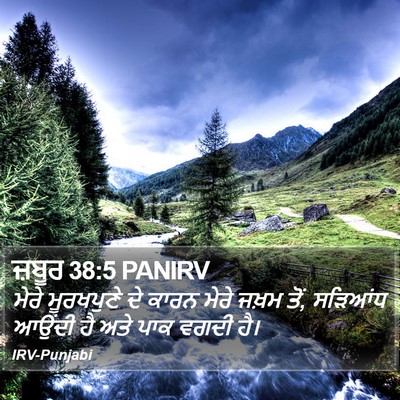 ਜ਼ਬੂਰ 38:5 PANIRV Bible Verse Image