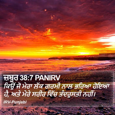 ਜ਼ਬੂਰ 38:7 PANIRV Bible Verse Image
