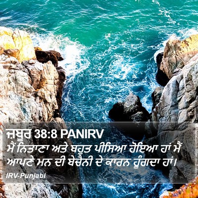 ਜ਼ਬੂਰ 38:8 PANIRV Bible Verse Image