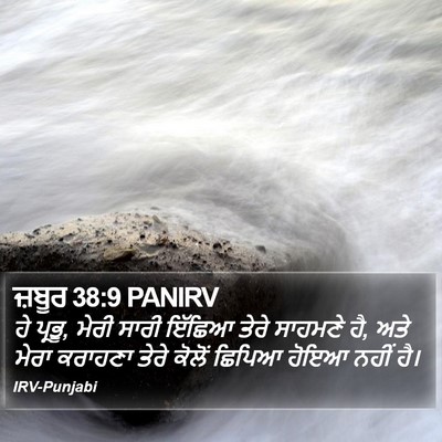 ਜ਼ਬੂਰ 38:9 PANIRV Bible Verse Image